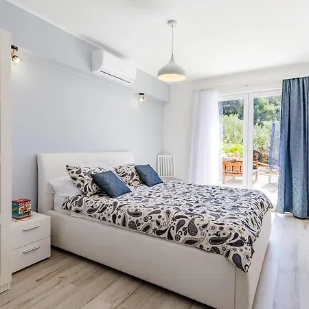 Maslina - Cin08100e-o *